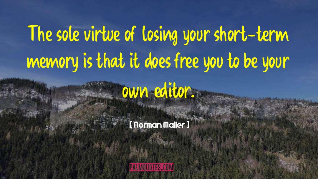 Norman Mailer Quotes: The sole virtue of losing