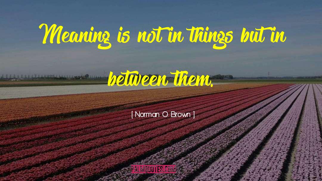 Norman O. Brown Quotes: Meaning is not in things