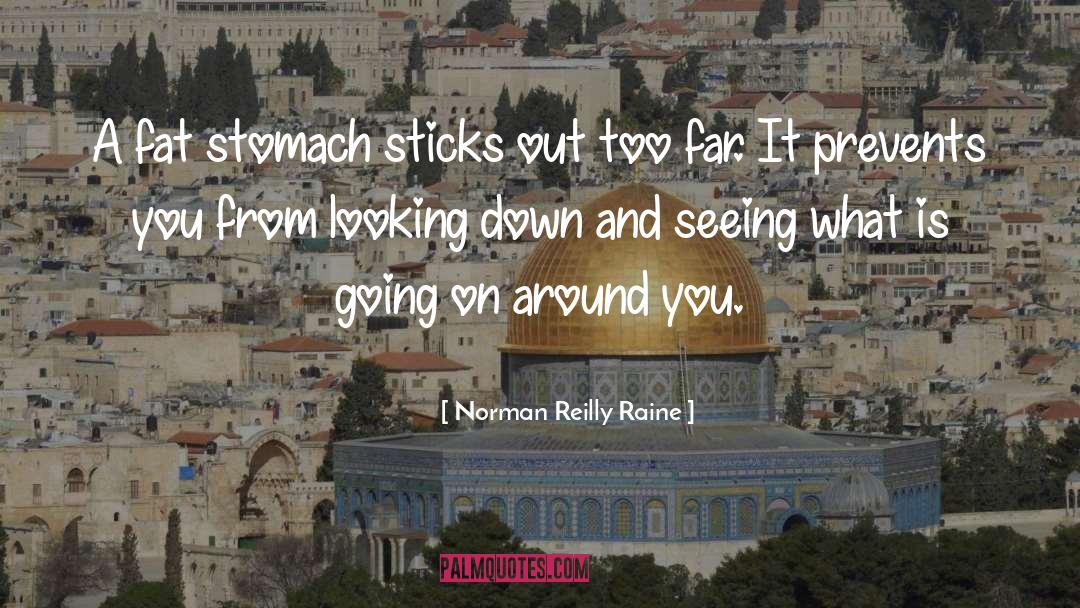 Norman Reilly Raine Quotes: A fat stomach sticks out