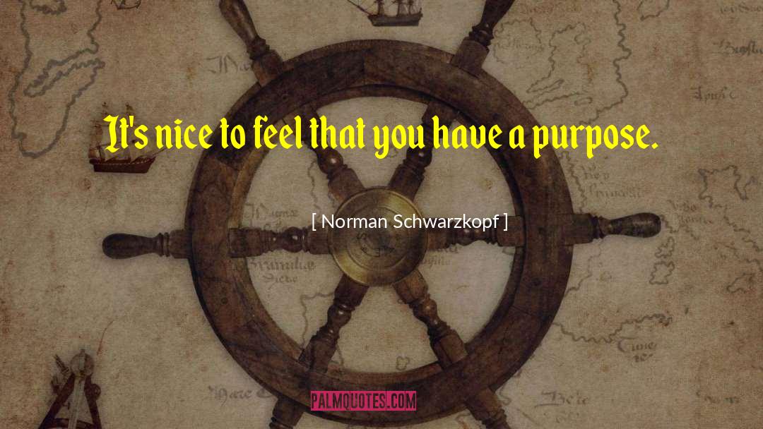 Norman Schwarzkopf Quotes: It's nice to feel that