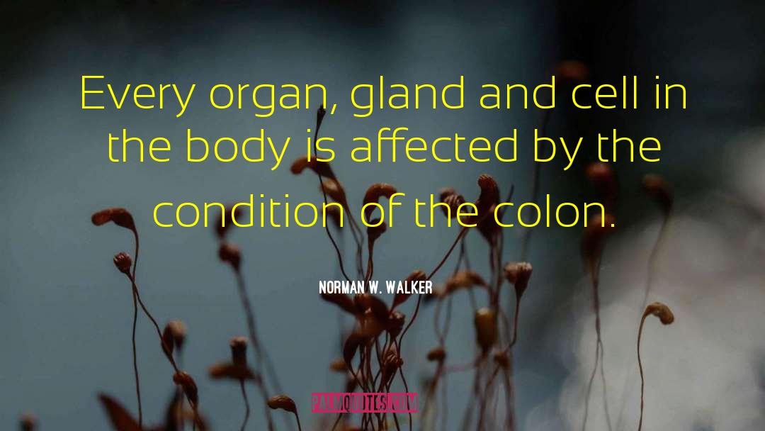 Norman W. Walker Quotes: Every organ, gland and cell
