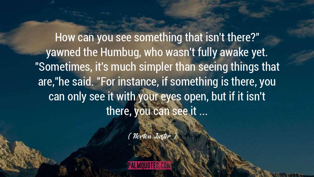 Norton Juster Quotes: How can you see something