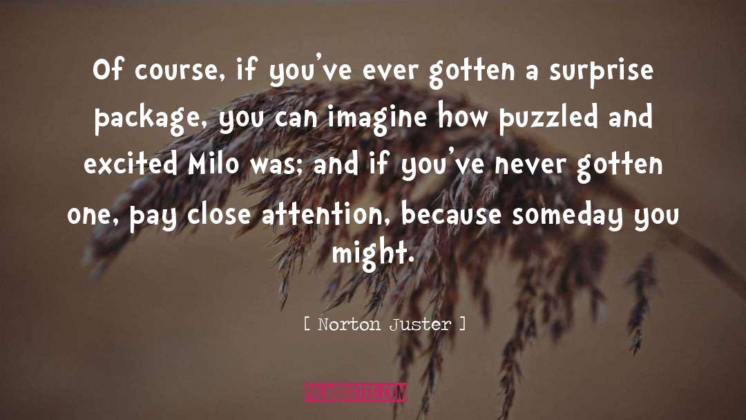 Norton Juster Quotes: Of course, if you've ever