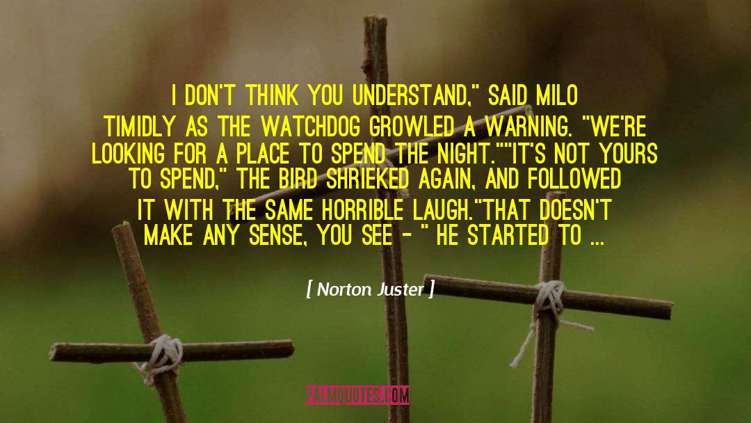 Norton Juster Quotes: I don't think you understand,