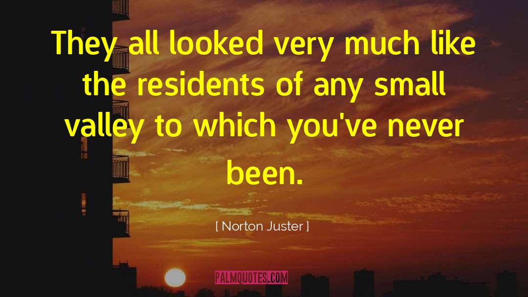 Norton Juster Quotes: They all looked very much
