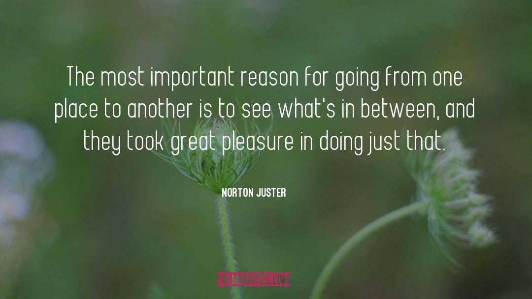 Norton Juster Quotes: The most important reason for