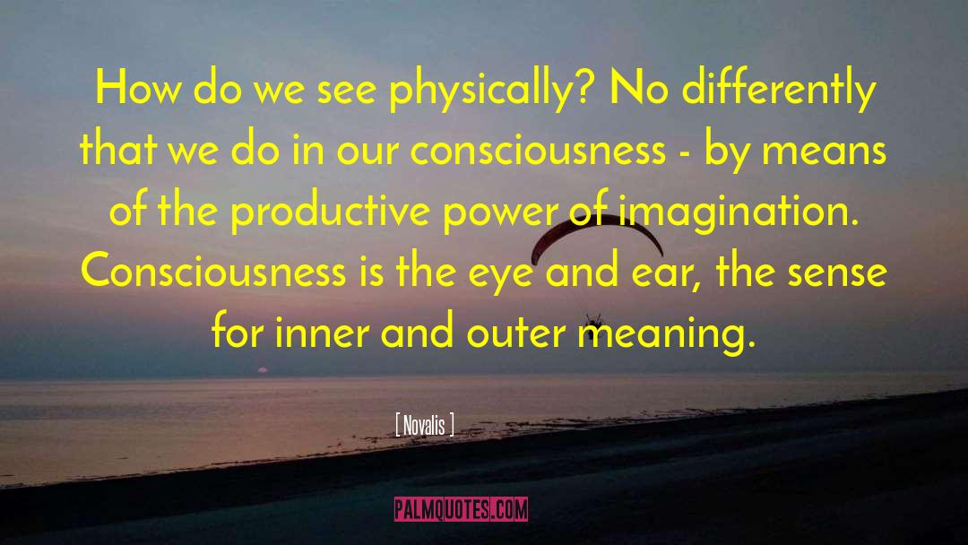 Novalis Quotes: How do we see physically?