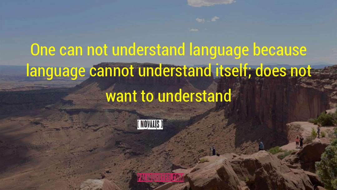 Novalis Quotes: One can not understand language