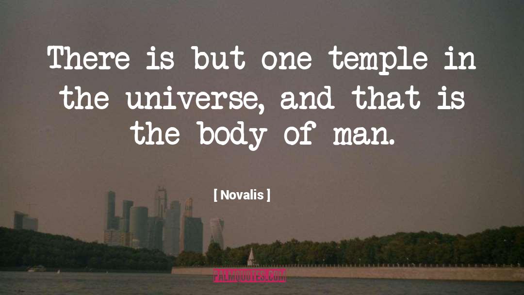 Novalis Quotes: There is but one temple