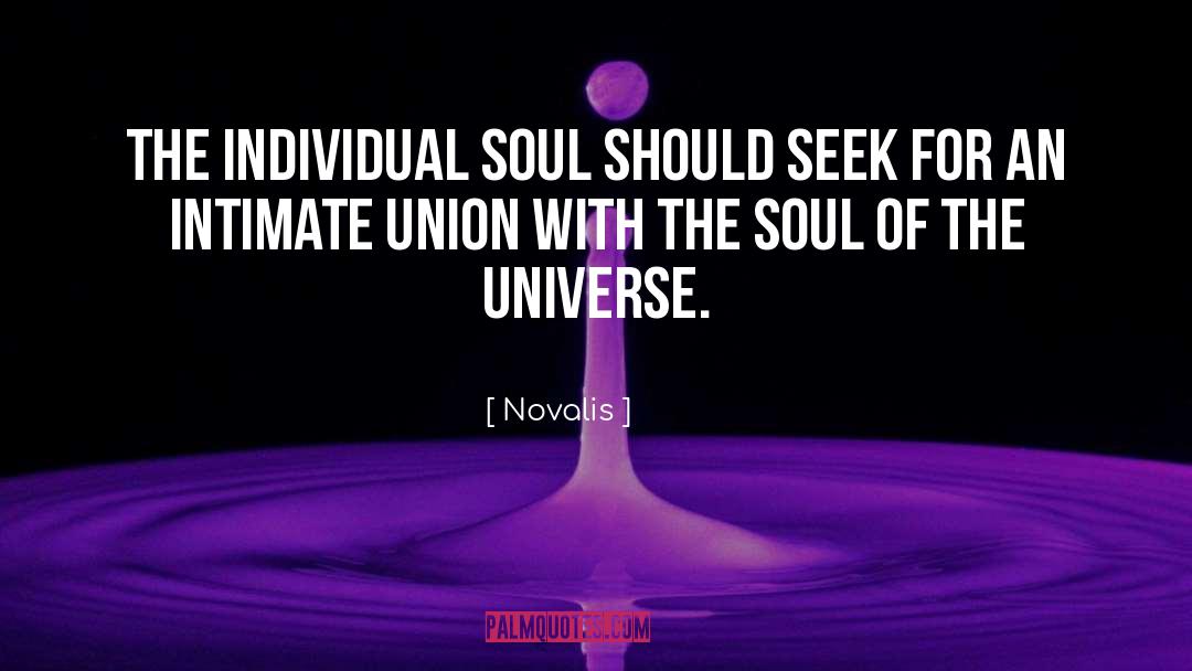 Novalis Quotes: The individual soul should seek