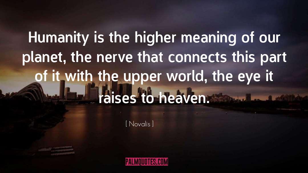 Novalis Quotes: Humanity is the higher meaning