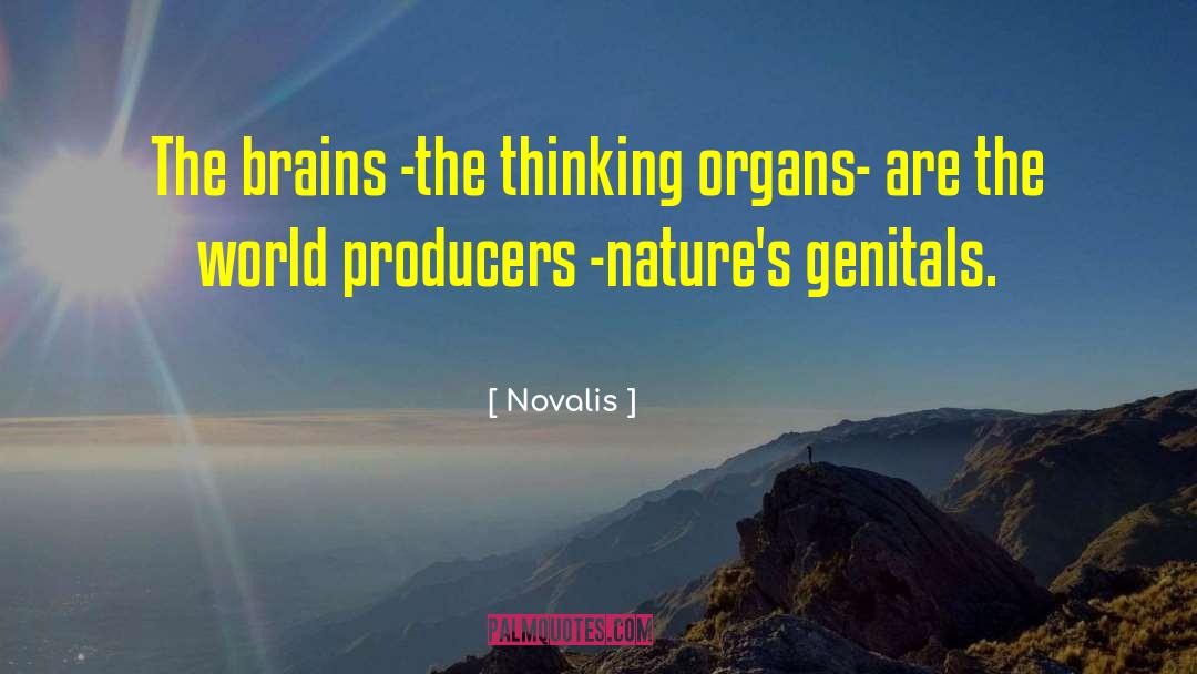 Novalis Quotes: The brains -the thinking organs-
