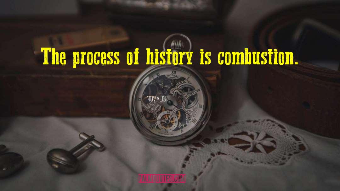 Novalis Quotes: The process of history is