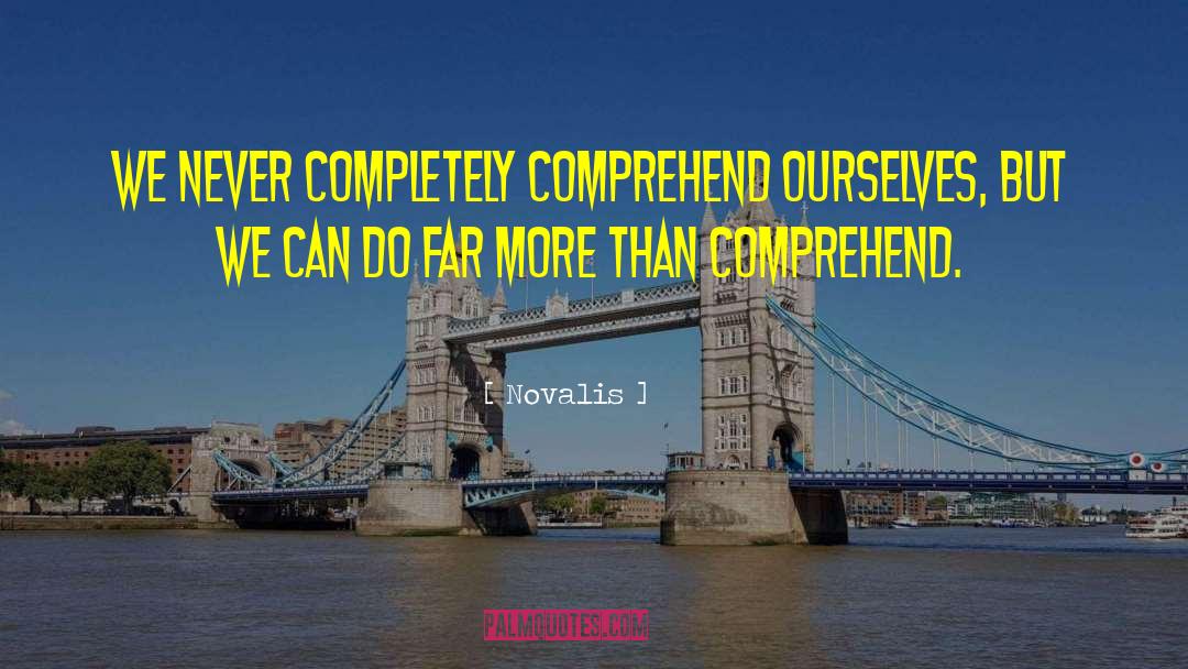 Novalis Quotes: We never completely comprehend ourselves,