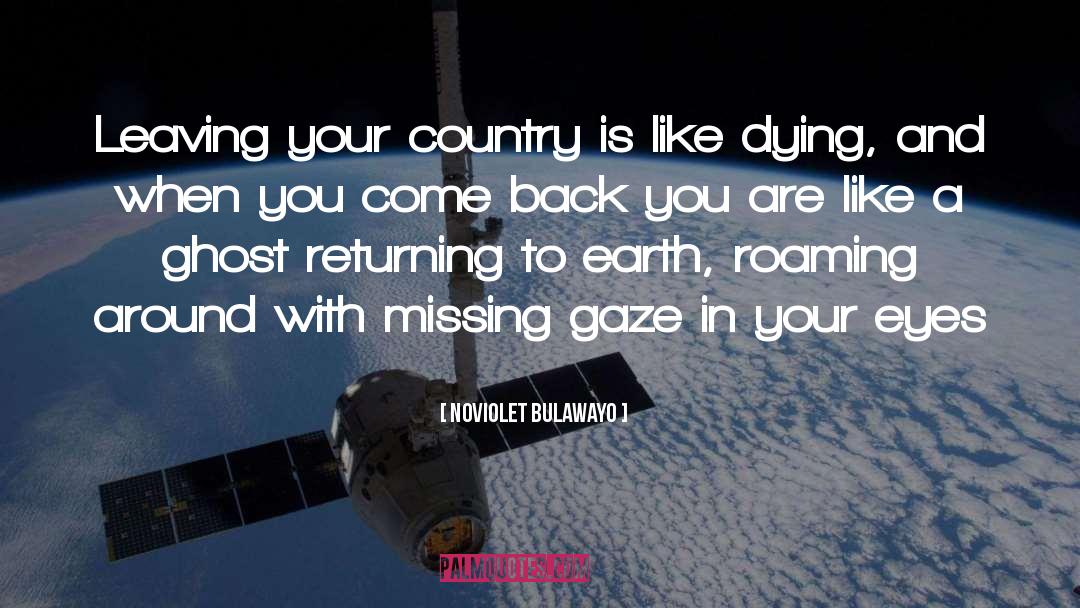 NoViolet Bulawayo Quotes: Leaving your country is like
