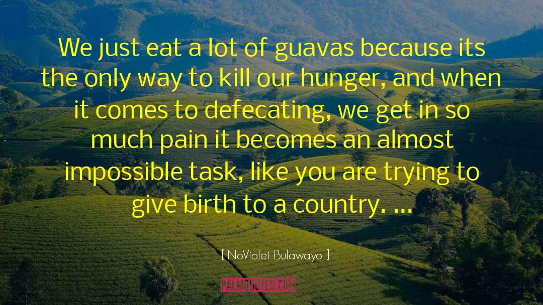 NoViolet Bulawayo Quotes: We just eat a lot