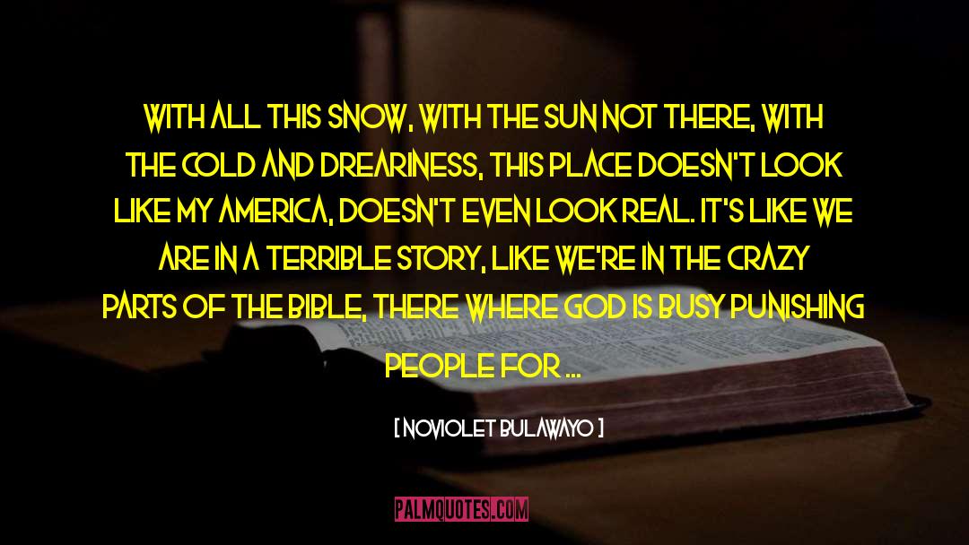 NoViolet Bulawayo Quotes: With all this snow, with