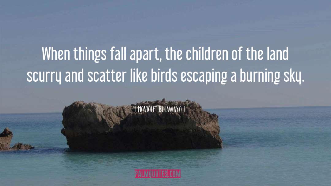 NoViolet Bulawayo Quotes: When things fall apart, the