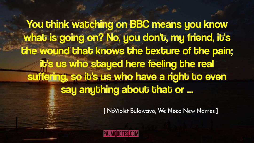 NoViolet Bulawayo We Need New Names Quotes: You think watching on BBC