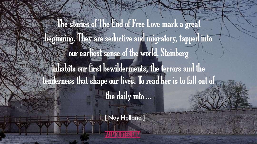 Noy Holland Quotes: The stories of The End
