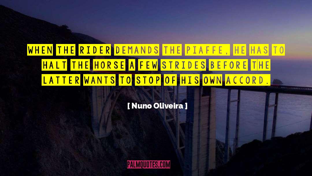 Nuno Oliveira Quotes: When the rider demands the