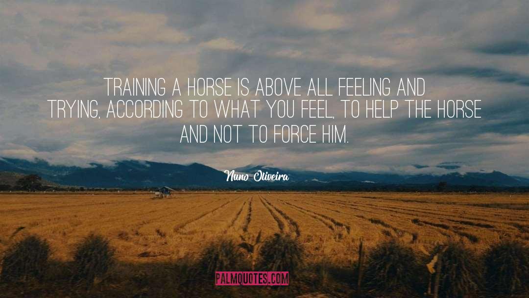 Nuno Oliveira Quotes: Training a horse is above