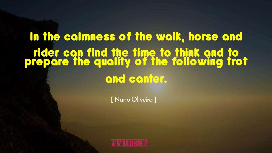 Nuno Oliveira Quotes: In the calmness of the