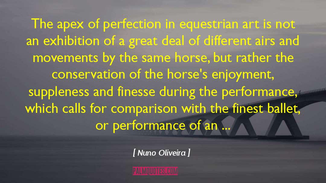 Nuno Oliveira Quotes: The apex of perfection in