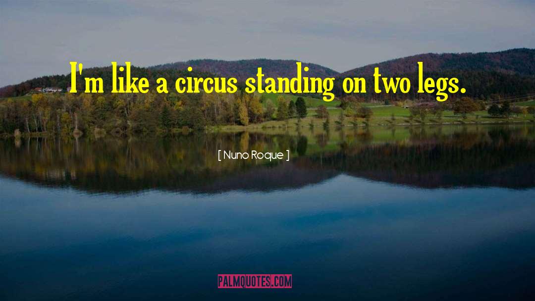 Nuno Roque Quotes: I'm like a circus standing