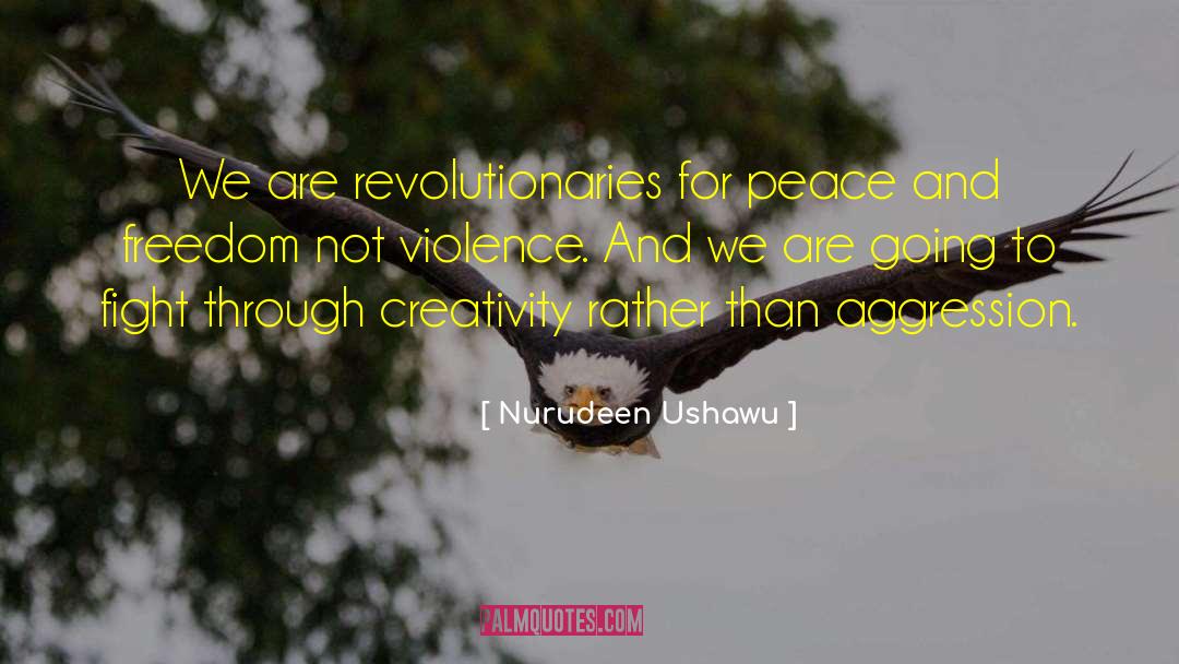 Nurudeen Ushawu Quotes: We are revolutionaries for peace