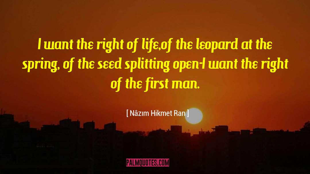 Nâzım Hikmet Ran Quotes: I want the right of