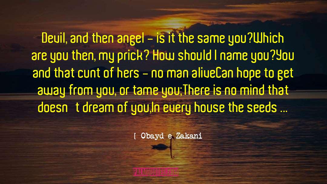 Obayd-e Zakani Quotes: Devil, and then angel -