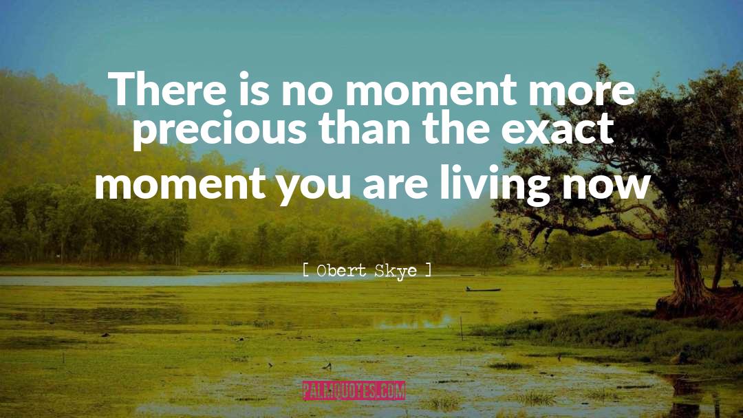 Obert Skye Quotes: There is no moment more