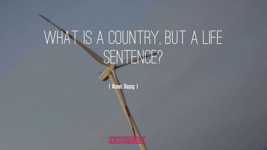 Ocean Vuong Quotes: What is a country, but