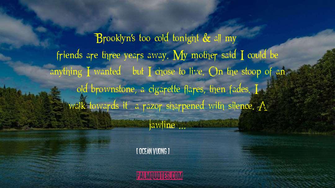 Ocean Vuong Quotes: Brooklyn's too cold tonight<br />