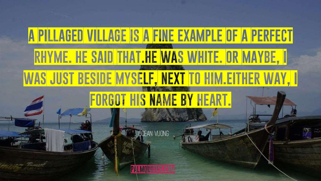 Ocean Vuong Quotes: A pillaged village is a
