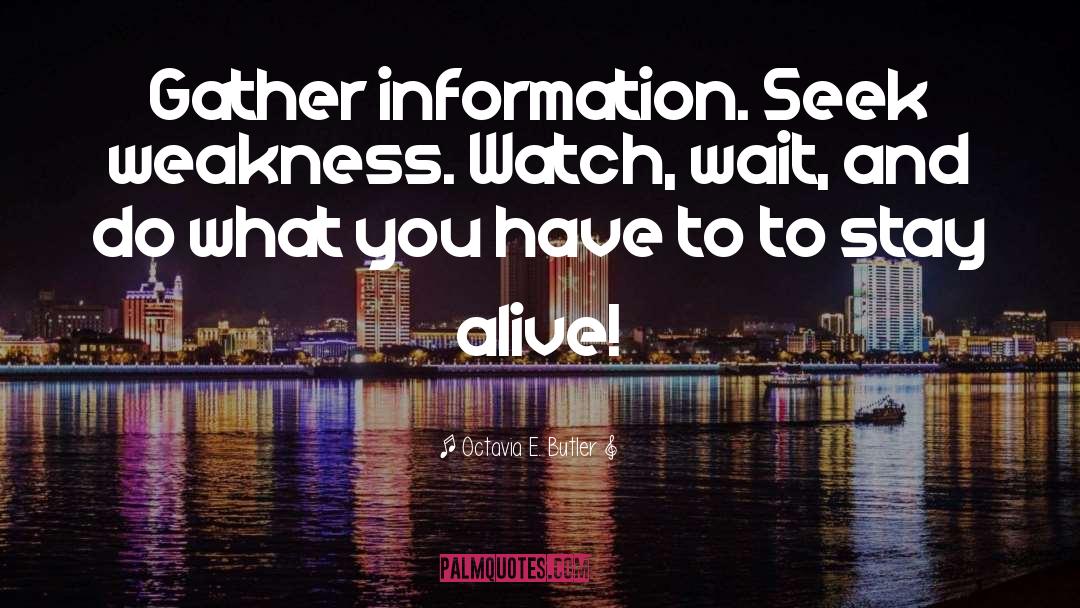 Octavia E. Butler Quotes: Gather information. Seek weakness. Watch,