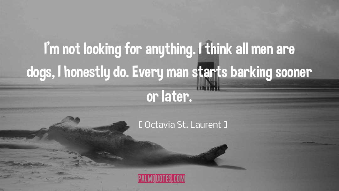 Octavia St. Laurent Quotes: I'm not looking for anything.