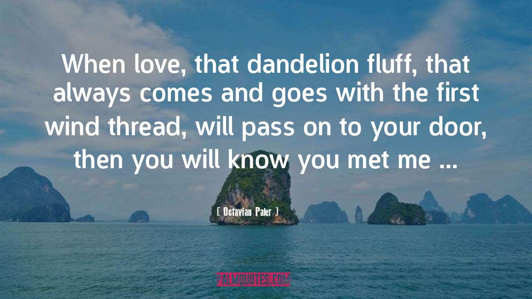 Octavian Paler Quotes: When love, that dandelion fluff,