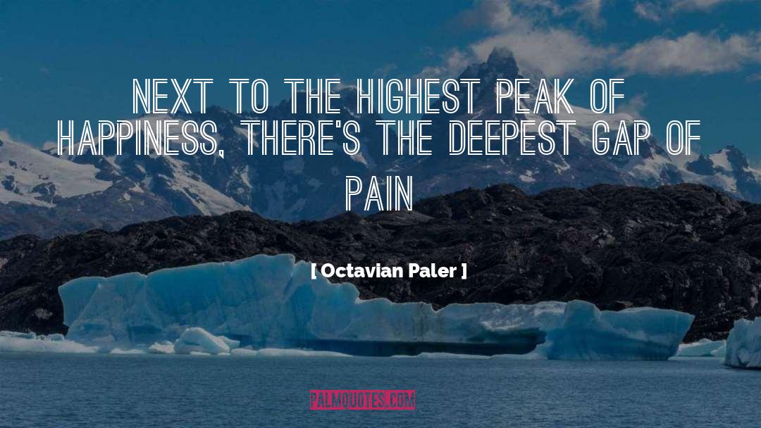 Octavian Paler Quotes: Next to the highest peak