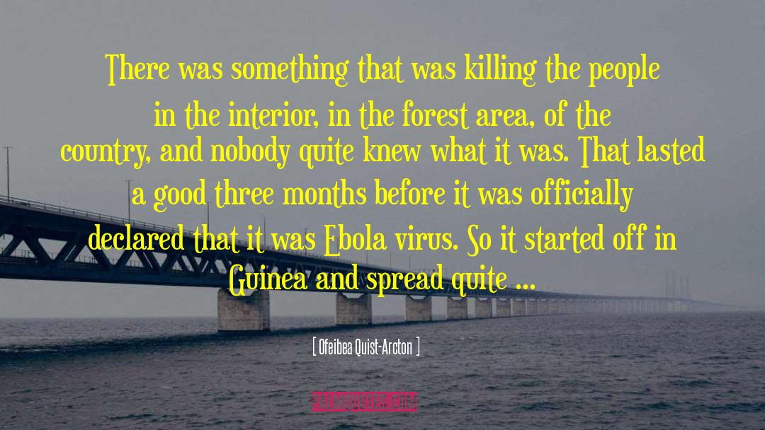 Ofeibea Quist-Arcton Quotes: There was something that was