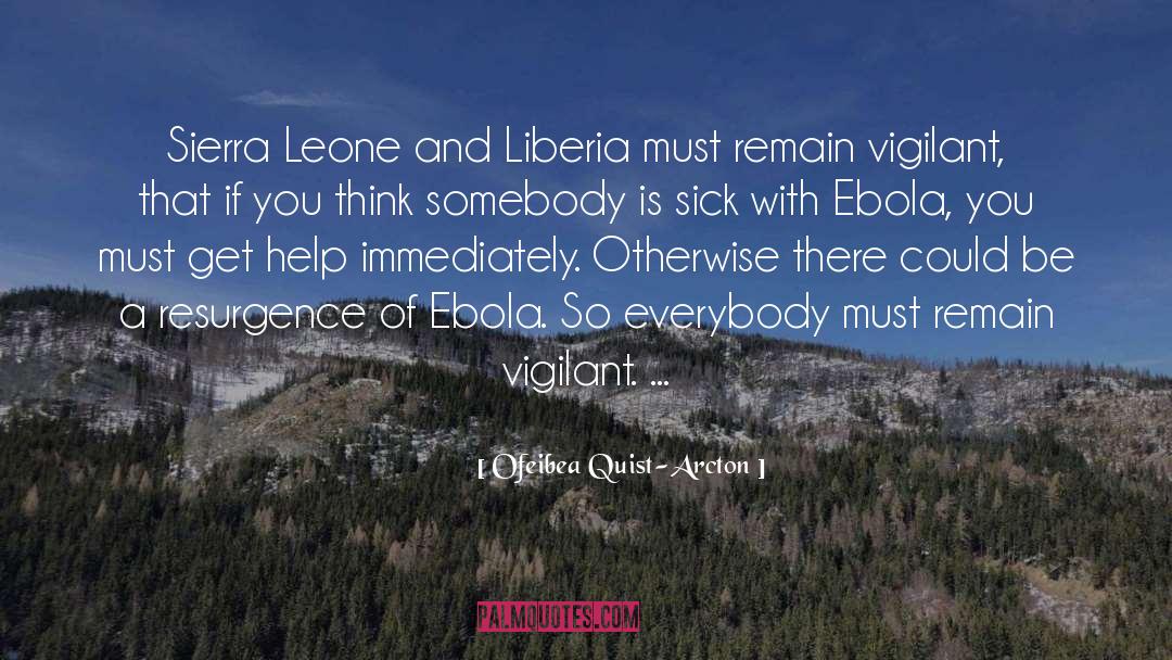 Ofeibea Quist-Arcton Quotes: Sierra Leone and Liberia must