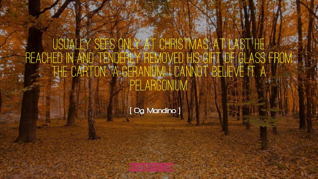 Og Mandino Quotes: usually sees only at Christmas.