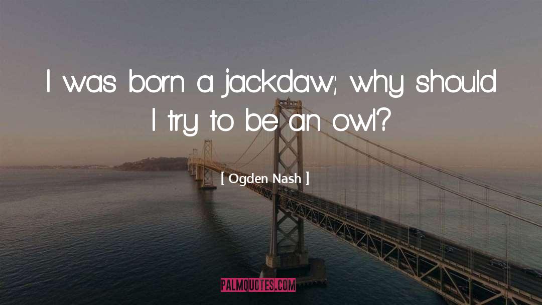 Ogden Nash Quotes: I was born a jackdaw;