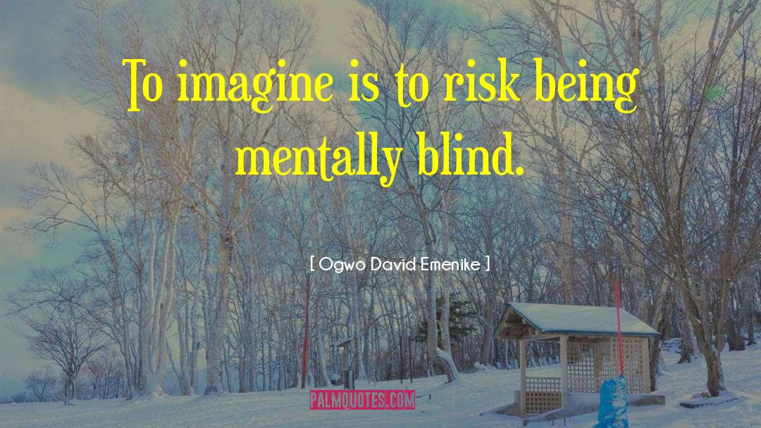 Ogwo David Emenike Quotes: To imagine is to risk