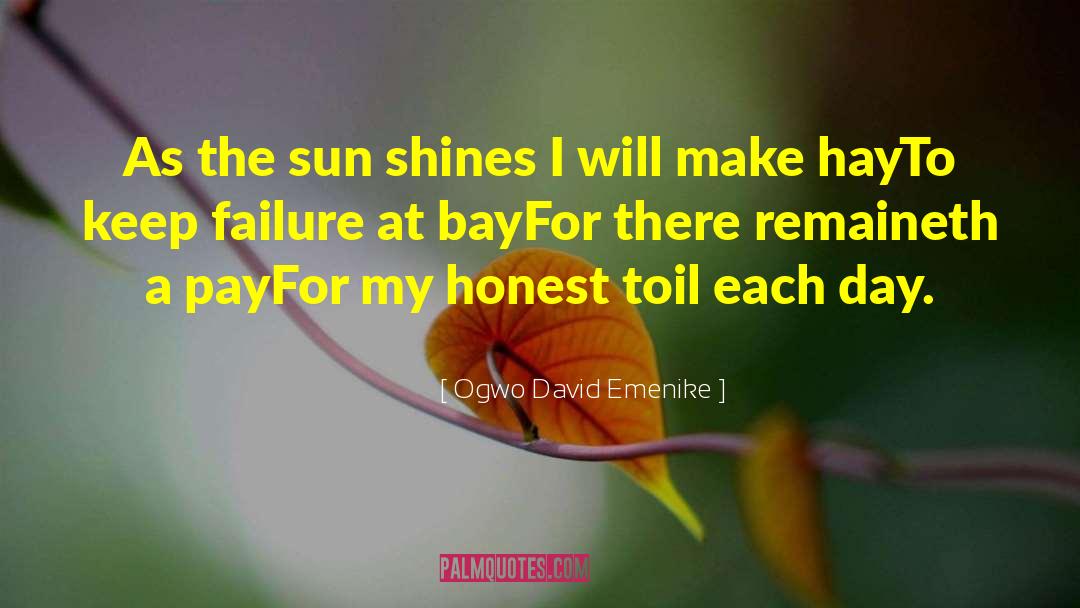 Ogwo David Emenike Quotes: As the sun shines I