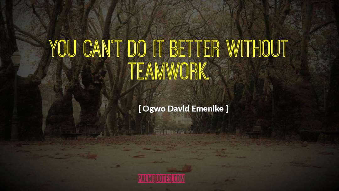 Ogwo David Emenike Quotes: You can't do it better