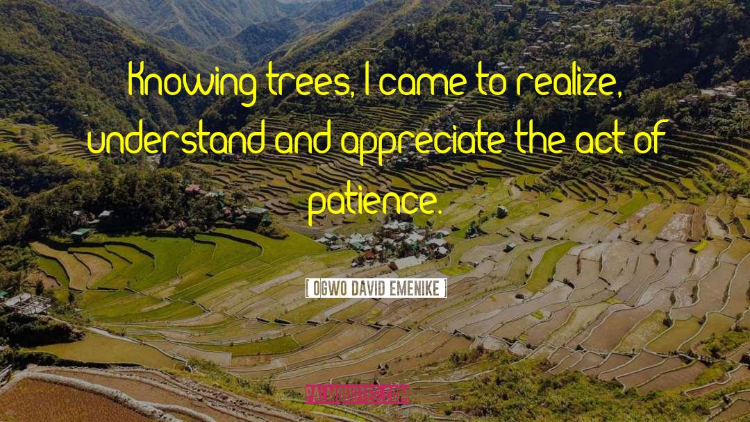 Ogwo David Emenike Quotes: Knowing trees, I came to