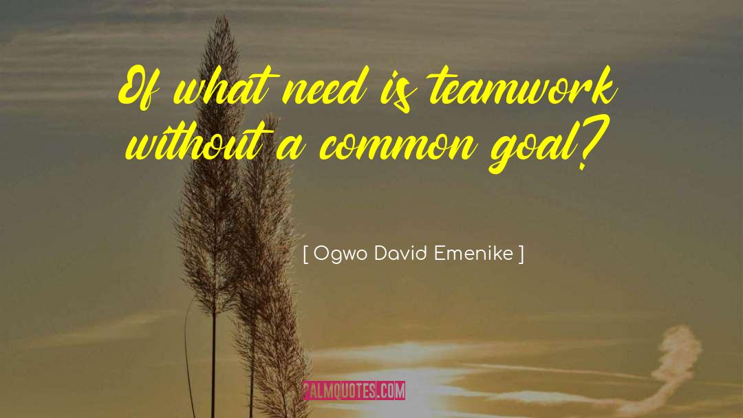 Ogwo David Emenike Quotes: Of what need is teamwork