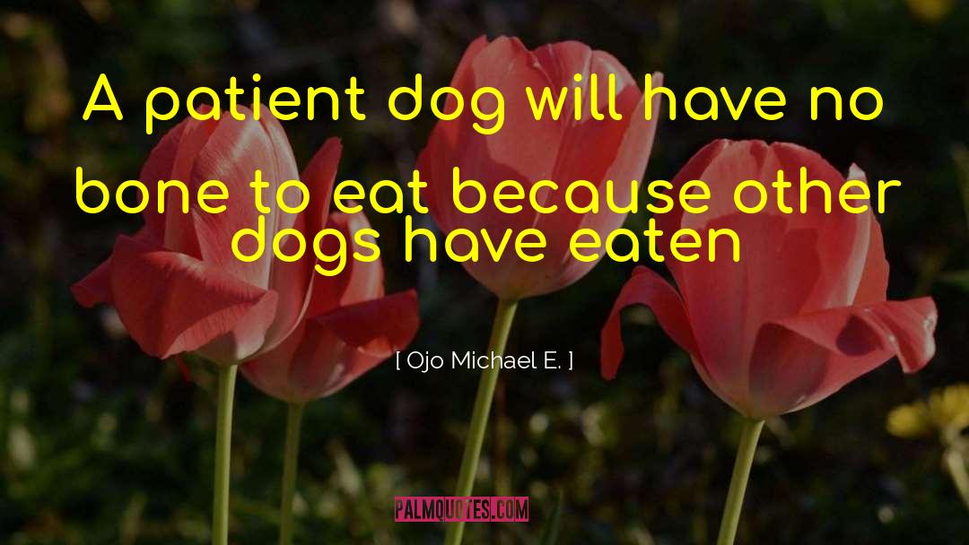 Ojo Michael E. Quotes: A patient dog will have